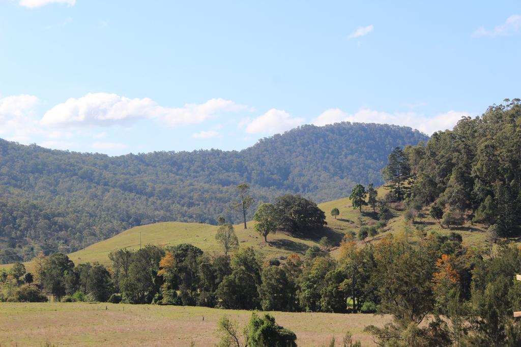 Greenlee Cottages Canungra Bagian luar foto