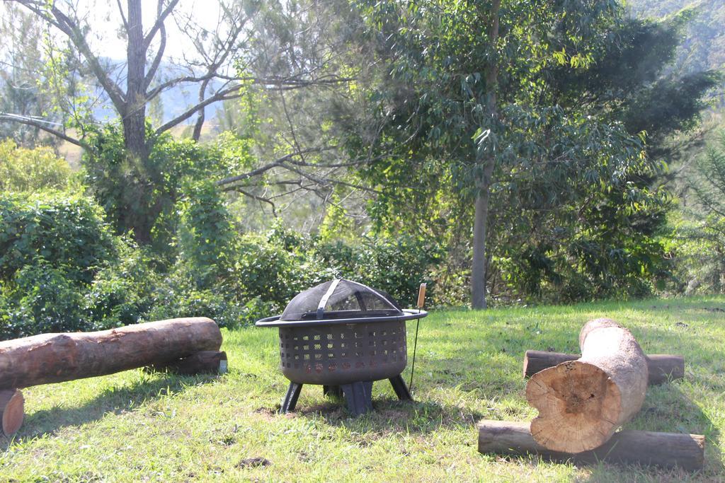 Greenlee Cottages Canungra Bagian luar foto